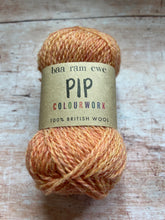 Load image into Gallery viewer, Baa Ram Ewe - Pip 4 ply