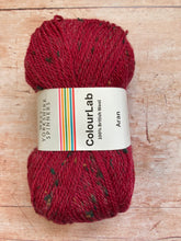 Load image into Gallery viewer, WYS ColourLab Aran