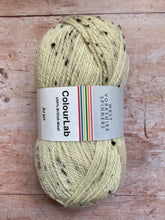 Load image into Gallery viewer, WYS ColourLab Aran