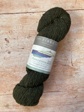 Load image into Gallery viewer, The Fibre Company - Arranmore Light (DK)