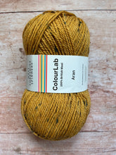 Load image into Gallery viewer, WYS ColourLab Aran