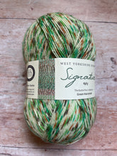 Load image into Gallery viewer, WYS Signature 4 ply Sock Yarn