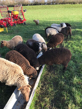 Load image into Gallery viewer, Northern Yarn - Selina 4 ply