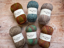 Load image into Gallery viewer, WYS Retreat Chunky Twist