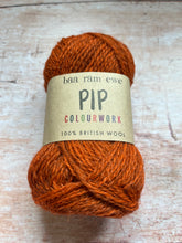 Load image into Gallery viewer, Baa Ram Ewe - Pip 4 ply
