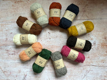 Load image into Gallery viewer, Baa Ram Ewe - Pip 4 ply