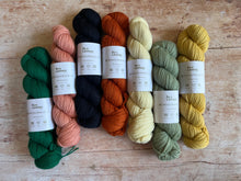 Load image into Gallery viewer, Laxtons - Wool Trace DK