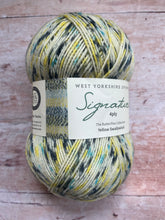 Load image into Gallery viewer, WYS Signature 4 ply Sock Yarn