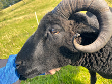 Load image into Gallery viewer, Northern Yarn - Selina 4 ply