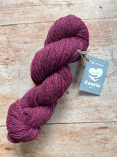 Load image into Gallery viewer, Northern Yarn - Coorie Sport