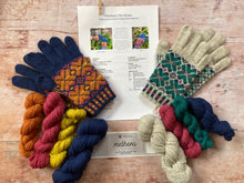 Load image into Gallery viewer, Colourwork Gloves Class