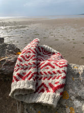 Load image into Gallery viewer, Northern Yarn - Making Tracks Pattern