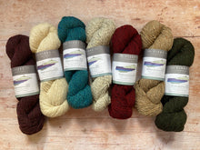 Load image into Gallery viewer, The Fibre Company - Arranmore Light (DK)