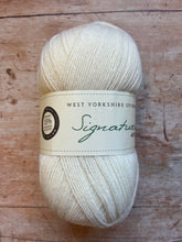 Load image into Gallery viewer, WYS Signature 4 ply Sock Yarn