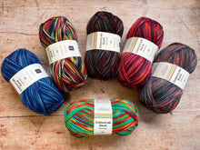Load image into Gallery viewer, WYS ColourLab Sock Yarn DK
