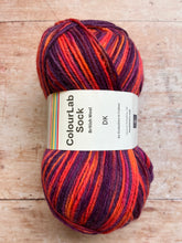 Load image into Gallery viewer, WYS ColourLab Sock Yarn DK