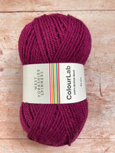 Load image into Gallery viewer, WYS ColourLab Aran