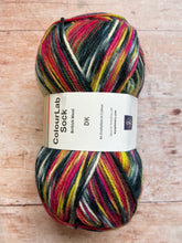 Load image into Gallery viewer, WYS ColourLab Sock Yarn DK