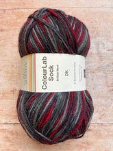 Load image into Gallery viewer, WYS ColourLab Sock Yarn DK