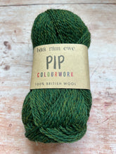 Load image into Gallery viewer, Baa Ram Ewe - Pip 4 ply