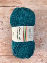 Load image into Gallery viewer, WYS ColourLab Aran