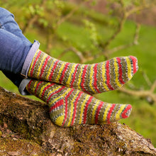 Load image into Gallery viewer, WYS - Along the Riverbank (Sock Pattern Book)
