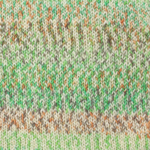 Load image into Gallery viewer, Beginner Sock Kit - 4 ply!!
