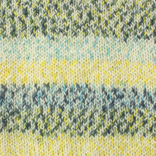 Load image into Gallery viewer, Beginner Sock Kit - 4 ply!!