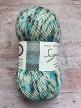 Load image into Gallery viewer, WYS Signature 4 ply Sock Yarn