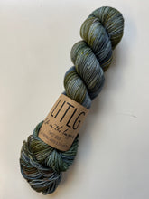 Load image into Gallery viewer, Life In The Long Grass - Hand Dyed Sock Yarn