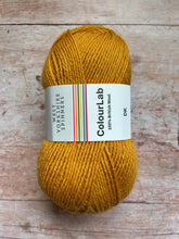 Load image into Gallery viewer, WYS Colour Lab DK