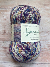 Load image into Gallery viewer, WYS Signature 4 ply Sock Yarn