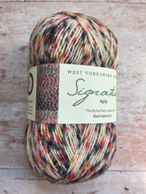 Load image into Gallery viewer, WYS Signature 4 ply Sock Yarn