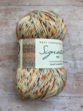 Load image into Gallery viewer, WYS Signature 4 ply Sock Yarn