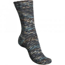 Load image into Gallery viewer, Regia - 6 ply Sock Yarn