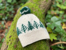 Load image into Gallery viewer, Pine & Snow Beanie Kit - Northern Yarn
