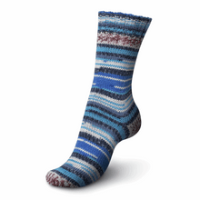 Load image into Gallery viewer, Regia - 6 ply Sock Yarn