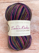 Load image into Gallery viewer, WYS Signature 4 ply Sock Yarn