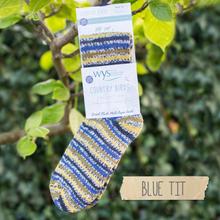 Load image into Gallery viewer, WYS - Ready Knit Socks