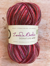 Load image into Gallery viewer, WYS Signature 4 ply Sock Yarn