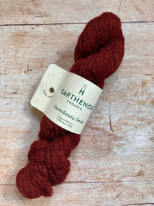Garthenor Organic - Snowdonia Sock Yarn