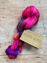 Load image into Gallery viewer, Manos del Uruguay - Alegria Grande (worsted)