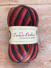 Load image into Gallery viewer, WYS Signature 4 ply Sock Yarn