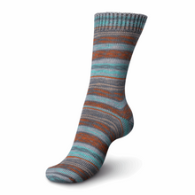 Load image into Gallery viewer, Regia - Colour Sock Yarn 4 ply