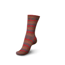 Load image into Gallery viewer, Regia - Colour Sock Yarn 4 ply