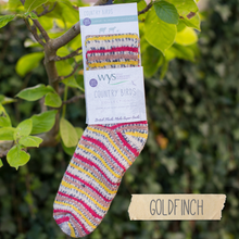 Load image into Gallery viewer, WYS - Ready Knit Socks