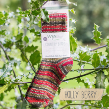 Load image into Gallery viewer, WYS - Ready Knit Socks