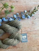 Load image into Gallery viewer, Northern Yarn - Coorie Sport