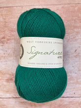 Load image into Gallery viewer, WYS Signature 4 ply Sock Yarn