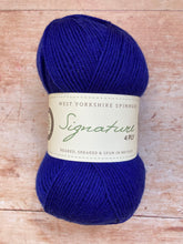 Load image into Gallery viewer, WYS Signature 4 ply Sock Yarn